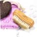 FRCOLOR Bristle Nail Nail scrubber stiff bristles Bristle Brush double sided for cleaning toe cleaning brush cleaner brush Manicure Brush Cleaning Tool Wooden foot wash Brush - Buy Online on GoSupps.com
