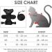 Adjustable Soft Kitten Vest with Reflective Stripes & Breakproof Cat Dishes Set - XXS Black Harness for Small Kittens - Buy Online on GoSupps.com
