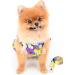 Paidful Dog Harness Dress for Small Dogs & Cats | Colorful Flower Tutu Breathable Mesh Clothing with Leash | Mini Puppy Chihuahua Yorkie Spring/Summer Fashion - Purple (L: 30cm Bust: 42cm) - Buy Online on GoSupps.com
