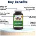 Previtalize: Natural Prebiotic for Digestion, Metabolism & Gut Health | Provitalize Complement - Buy Online on GoSupps.com