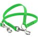BioThane Coupling for Two Dogs - 0.3m Neon Green Leash | Select Width | Durable & Stylish Dog Coupling - Buy Online on GoSupps.com