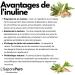 SaporePuro Inulin powder 250g - prebiotic fiber - chicory root - Inulin powder - Buy Online on GoSupps.com