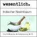 Neem Oil with Emulsifier 250ml - Ready to Use Essential Oil Blend for Skin & Hair Care - Buy Online on GoSupps.com