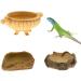 Perfk Terrarium Drinking Bowl - Type 1 Water Bowl for Pets | International Shipping Available - Buy Online on GoSupps.com