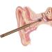6 Pcs Portable Ear Pick Set - Rose Gold Color | Ear Wax Removal Kit with Pendant Storage Cylinder - Buy Online on GoSupps.com
