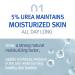 Buy Pyunkang Yul Ato Lotion Blue Label 290ml - Best Hydrating Moisturizer for Sensitive Skin | Worldwide Shipping - Buy Online on GoSupps.com