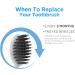 Burst Replacement Toothbrush Heads - Charcoal Bristles, 4 Count with Covers - Buy Online on GoSupps.com