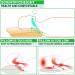 Cervical Memory Foam Contour Pillow for Neck Pain Relief - Orthopedic Support for Side, Back, and Stomach Sleepers - Includes Replaceable Pillowcase - Buy Online on GoSupps.com