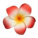 Buy HugeStore 10pcs 5cm Hawaiian Plumeria Foam Flower Hair Clips Vibrant Hair Accessories for Any Occasion - Buy Online on GoSupps.com