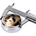 Cute Hedgehog Portable Metal Pill Box | 3-Compartment Mini Travel Organizer | Black Pill Holder for Small Pills - Buy Online on GoSupps.com
