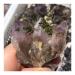 Amazing Natural Amethyst Cluster Specimen Seven Amethyst with Green Tourmaline Stones and Crystals FZUGEDRLI
