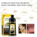500 ml Ginger Black Hair Shampoo - Fast Color & 2-in-1 Formula for Quick Results | Shop Internationally - Buy Online on GoSupps.com