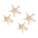 4 pieces of hairpise seafare shell hair clips mermaid hair clip hair clips to style from cut beach star hairpins star hairproof child electrical device weaving