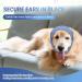 COMFPET No Flap Ear Wraps for Dogs | Dog Snood for Ear Hematoma | Pet Ear Muffs | Ear Cover for Cats and Dogs | Large (Blue) - Buy Online on GoSupps.com