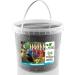 5kg Black Sunflower Seeds Wild Bird Food Sunflowers in Bucket (5kg) - Buy Online on GoSupps.com