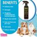 Eqyss Avocado Mist Pet Conditioner 16oz - Shines, Conditions, Reduces Shedding - Buy Online on GoSupps.com