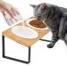 Elevated Cat Bowls, Raised Ceramic Cats Puppy Dishes for Food and Water, Tilted Bamboo Stand for Anti Vomiting, Indoor 5.5 inch Wide Dish for Whisker Friendly Iron Stand Bowl 5.5in
