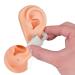 3D Silicone Ear Model for Piercing Practice - Dark Skin Color | Soft Ear Display for Earrings & Acupuncture Tools (Left) - Buy Online on GoSupps.com