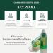 Buy Calming Green Essential Serum - Hydrating Vegan Ampoule for Acne 35ml | Super Centella Non-Greasy Paraben-Free Korean Skincare - Buy Online on GoSupps.com