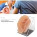 Silicone Ear Model for Acupuncture - Soft Practice Tool with Display Stand | Ideal for Piercing & Display | International Shipping Available - Buy Online on GoSupps.com