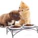 Y YHY Raised Cat Bowls 12oz Elevated Cat Food and Water Bowls with Stand Raised Pet Feeder Elevated Food Feeding Dishes for Cats or Dogs Dishwasher Safe Gift for Cats Dia 4.8in/White 12oz | 354ml White - Buy Online on GoSupps.com