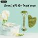 2pc Gua Sha & Facial Roller Set - 100% Natural Jade Stone Skin Care Massager - International Shipping - Buy Online on GoSupps.com