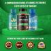 WELLUTION XXL Keto ACV Gummies | 1 000 mg Sugar-Free 60 Count | Digestive Aid Detox Metabolism Booster & Weight Loss Support | Delicious Apple Flavor - Buy Online on GoSupps.com