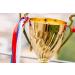 Large Gold Trophy Cup for Sports Tournaments & Competitions - Soccer, Football, Leagues, & Teamwork Awards - Buy Online on GoSupps.com