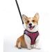 Ankilo Upgraded Harness with Leash Set Escape Proof Dog Vest Harnesses Vest Harnesses with Soft Mesh and Reflective Bands No Pull Small Dog Harness for Cats and Small Dogs (Rose-red S) - Buy Online on GoSupps.com