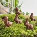 Set of 5 Mini Easter Chocolate Moulding Milk Chocolate 5 x 15g 75g Easter Chocolate 100% Handmade in France Chocolate Rabbit Hen Bell Chick Egg - Buy Online on GoSupps.com