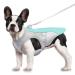 Dog cooling vest dog cooling coat fit dog harness adjustable cooling dog jacket for small medium and large dog breeds absorbent & cool dog vest for sports hot weather summer (M-blue) Blue M