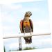 PopetPop 3-Pack Flying Bird Diapers for Parrots | Cotton Pet Bird Costumes & Parasite Protection - 12x6cm - Buy Online on GoSupps.com