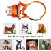 Nasjac Soft Dog Muzzle for Medium & Large Dogs - Adjustable Anti-Bark & Chew Prevention Durable & Comfortable - Orange - Buy Online on GoSupps.com