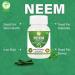 Morsan's Neem (Azadirachta Indica) Capsules Pack of 60 x 500 mg. Veg. Capsules (1) - Buy Online on GoSupps.com