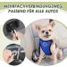Eyin Dog Harness with Seat Belt for Car - Adjustable & Breathable | 2 Carabiner Hooks | Child Safety Seat & Trunk | Blue M - Buy Online on GoSupps.com