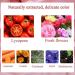 Merkts 16 Colors Edible Lipstick Pigment Powder - DIY Natural Mineral Powder for Lip Gloss | International Shipping Available - Buy Online on GoSupps.com