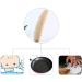 Natural Luffa Sponge - Biodegradable Exfoliating Loofah for Skin Kitchen & Laundry | 35-45 cm - Buy Online on GoSupps.com