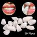 Facettes temporaires ultra-minces en r sine blanchissant de type mixte blanc pour la protection de la beaut dentaire - Buy Online on GoSupps.com