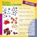 RAWBERRY Wild Berries Nut Bar | No Added Sugar Gluten-Free Vegan Snack (15 x 24g) - Healthy International Shipping - Buy Online on GoSupps.com