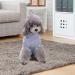 Turtleneck Dog Jumper Fall Winter Sweater Knitted Pet Pullover Soft Warm Pets Clothes Outfit for Small Medium Dogs Elastic Comfortable Dog Sweater Coat for Indoor Outdoor(SIZE:M) - Buy Online on GoSupps.com