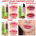 EVPCT 3Pcs Fruit Tinted Lip Balm Set - Long Lasting Color Changing Lipstick Stain for Women & Girls - Korean Mood Queen Lip Tint Gloss - 3 Count Pack - Buy Online on GoSupps.com