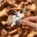 Catery Flower Bride Wedding Hair Comb Silver Bridal Hair Clips Crystal Headpiece White Flower Hair Piece Bride Hair Accessories for Women and Girls.