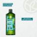 Yves Rocher Pure Detox Organic Algae Shampoo - Sulfate Free for Normal & Oily Hair | 300 ml - Buy Online on GoSupps.com