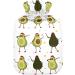 Dancing Avocado Hot Water Bottle - 1L Transparent Heat Bottle for Pain Relief & Warmth | Naanle International Shipping - Buy Online on GoSupps.com
