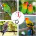 Buy Portable 8-Shape Bird Dishes for Small to Medium Parrots | Adjustable Parrot Flight Dishes | Perfect for Lovebirds & Nymphensittich - International Shipping Available - Buy Online on GoSupps.com