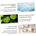  Didiseaon Didiseaon Eye cream circle black cream eye contour essence makeup accessories eyes anti wrinkle cream white - Buy Online on GoSupps.com