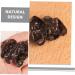 COOPHYA 15pcs Fake Vegetables Realistic Vegetables Faux Veggies Model Agarics Simulation Vegetables Agarics Props Lifelike Veggies Toy Decor Black Fungus Model Food Ornaments Pvc Dark Brown 5.00X4.20X1.00CM - Buy Online on GoSupps.com