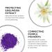 Phyto Purple No Yellow Shampoo - Anti Brass Toning & Color Depositing 250ml | Enhance Shine & Neutralize Yellow Tones - Buy Online on GoSupps.com