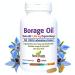 NEW ROOTS HERBAL Borage Oil Supplement 1200 mg | GLA Supplement (264mg) with Linoleic Acid (444mg) | Borage Seed Oil Cold-Pressed 100% Hexane-Free for Skin & Hair (90 softgels) Borage Oil 90CT 1200Mg