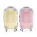 AUEAR  2 Pack Mini Lashes Luggage False Empty Lash Storage Box Clear Suitcase Packaging Case for Women Girls 2 Count (Pack of 1) Pink & Yellow